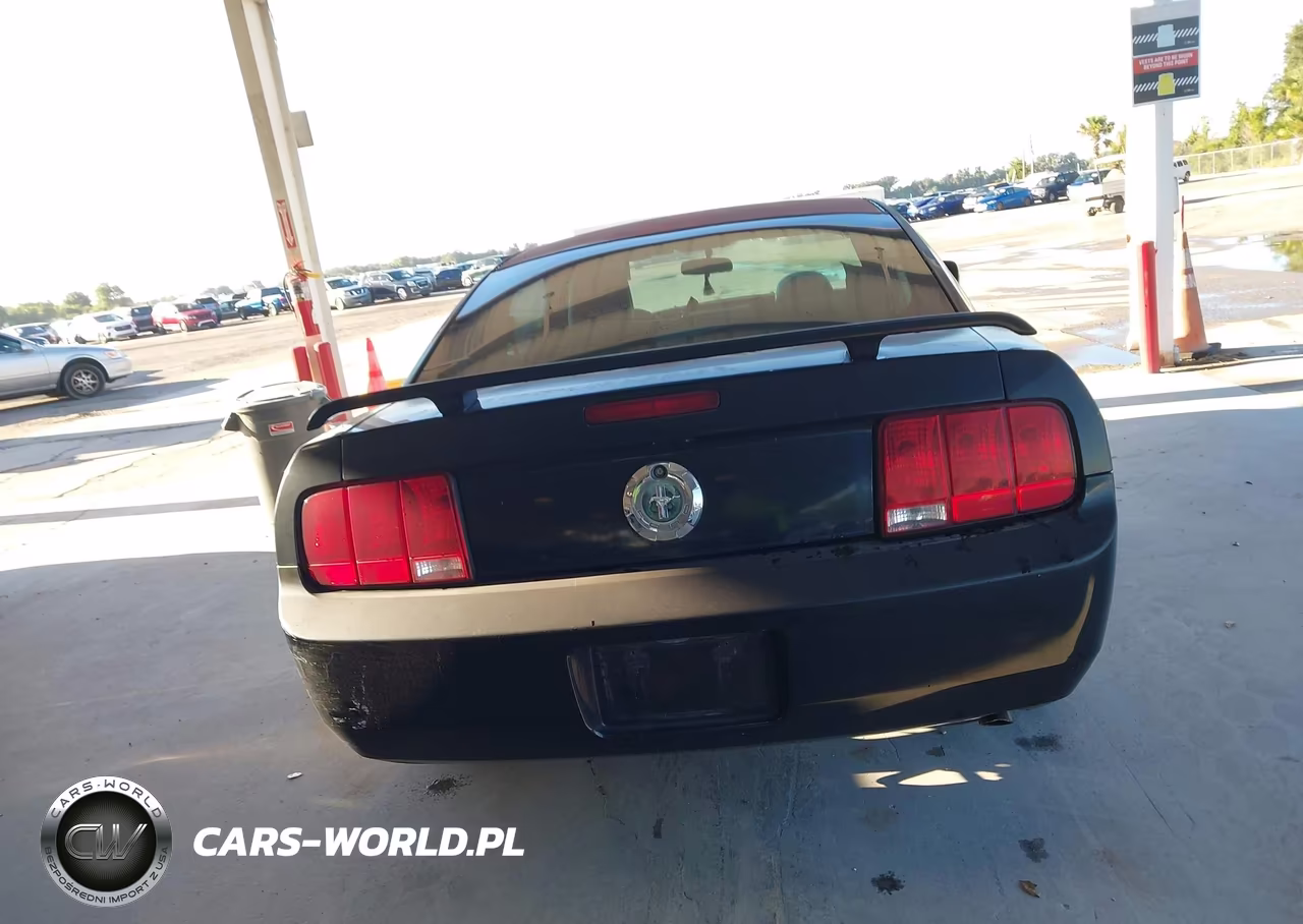 2006 Ford Mustang V6 VIN:1ZVFT80N165260041 - 17
