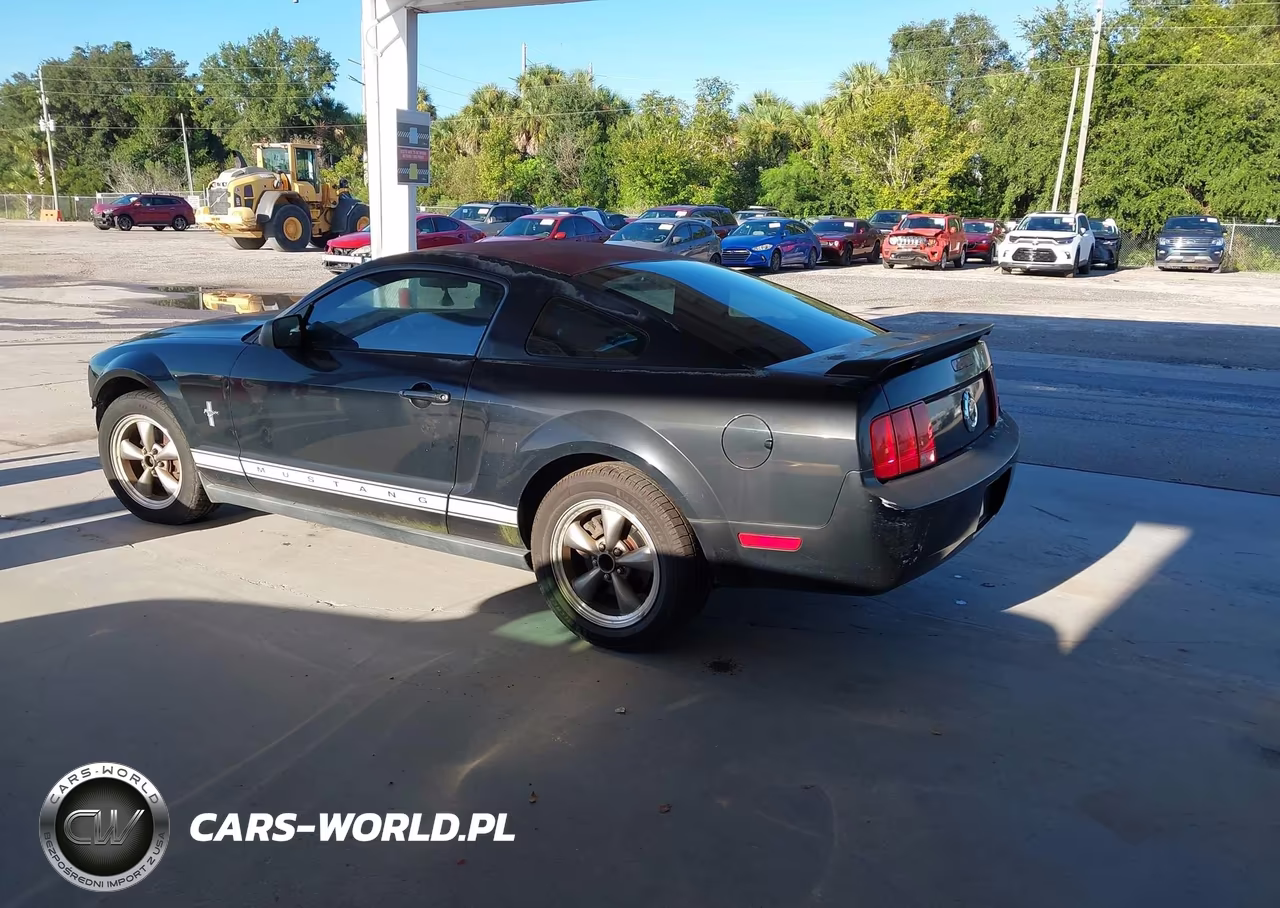 2006 Ford Mustang V6 VIN:1ZVFT80N165260041 - 3
