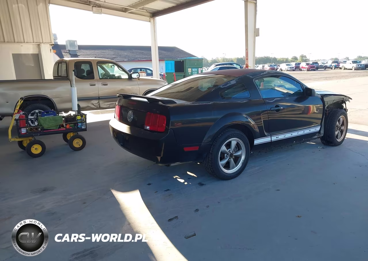 2006 Ford Mustang V6 VIN:1ZVFT80N165260041 - 4