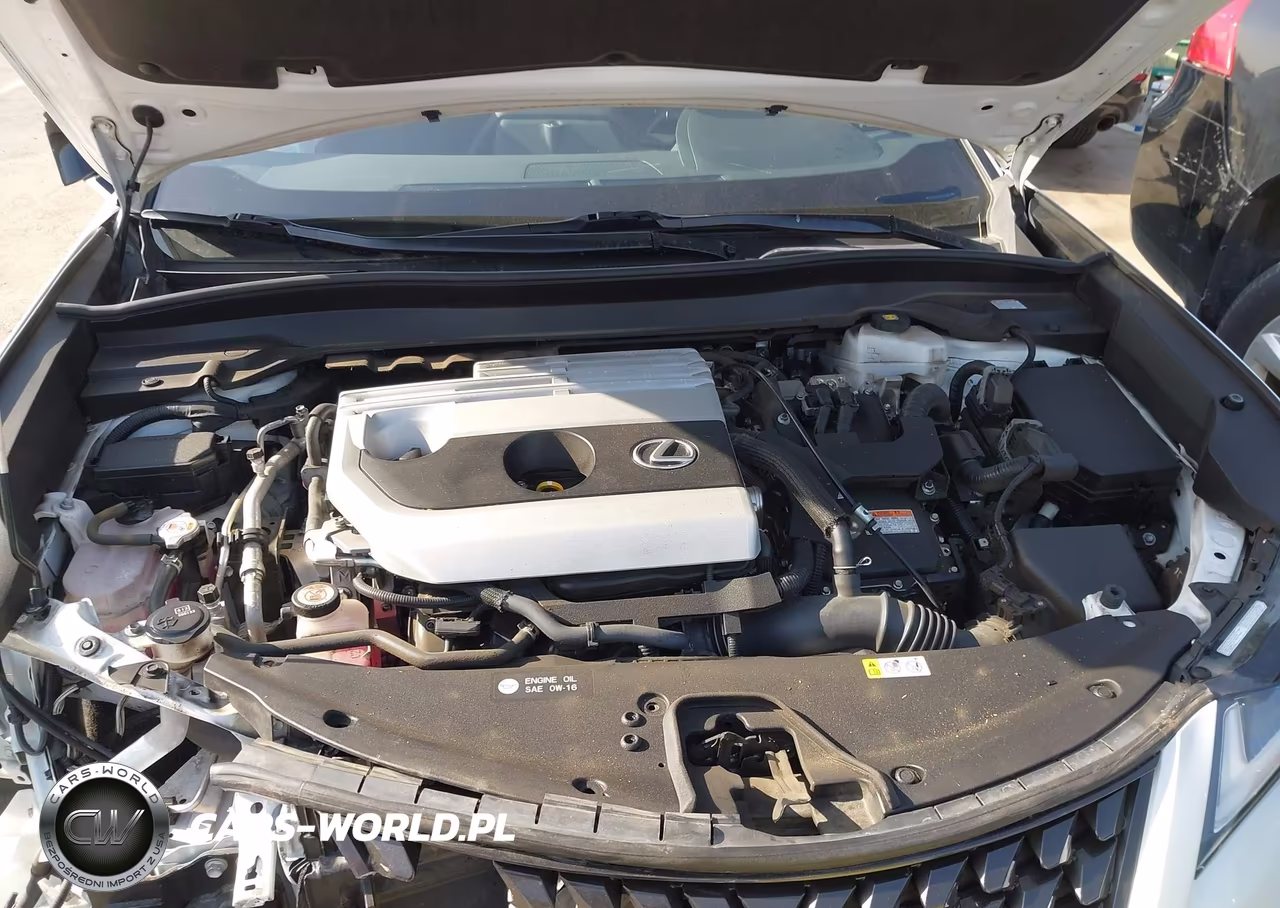 2024 Lexus Ux 250H VIN:JTHX6JBH2R2180409 - 10