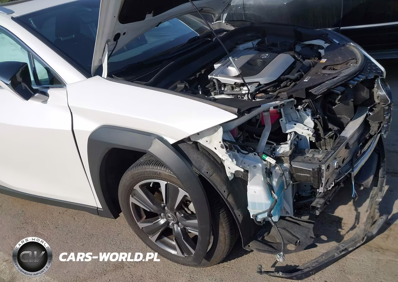 2024 Lexus Ux 250H VIN:JTHX6JBH2R2180409 - 19