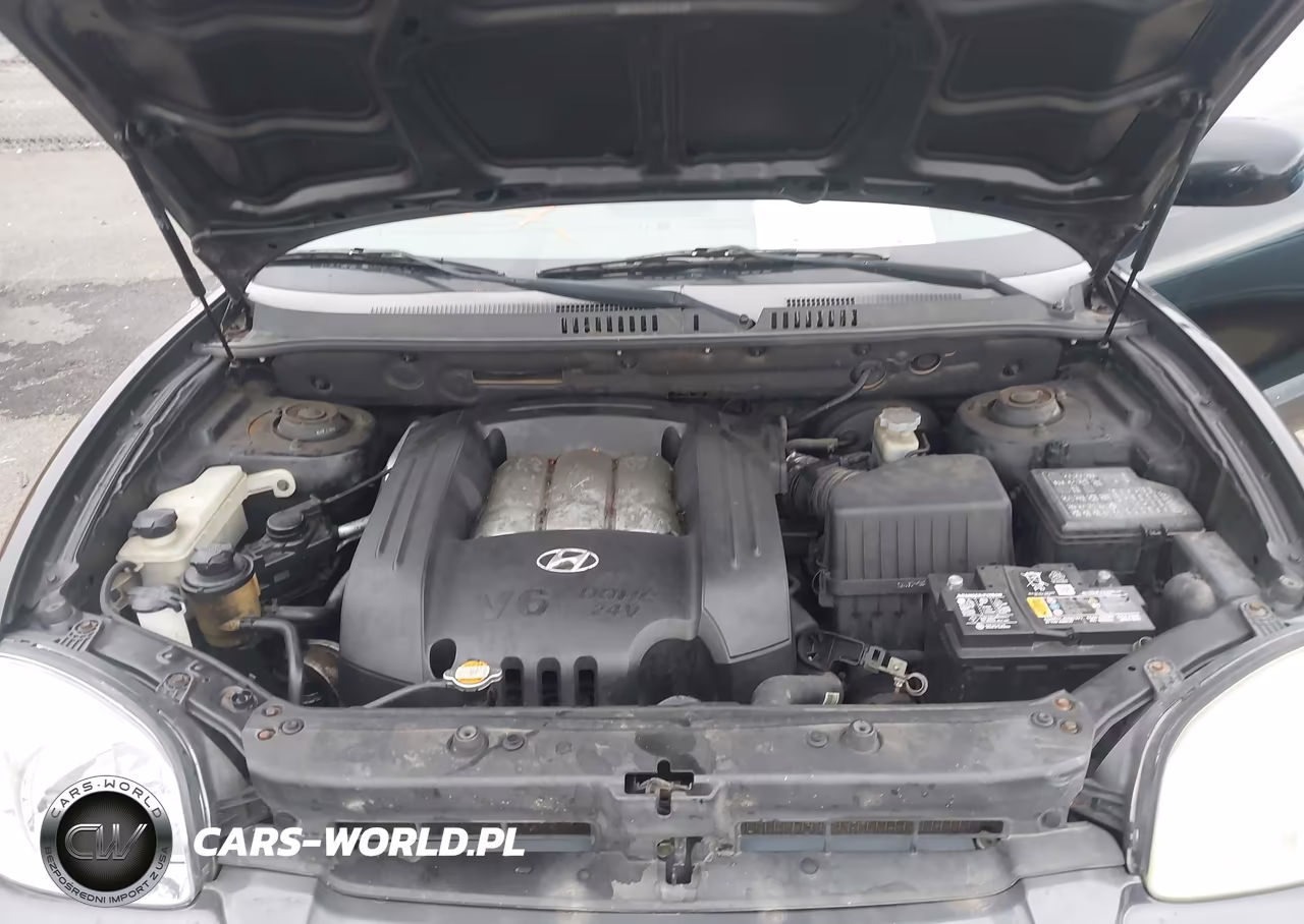 2006 Hyundai Santa Fe Gls VIN:KM8SC13D16U105373 - 10