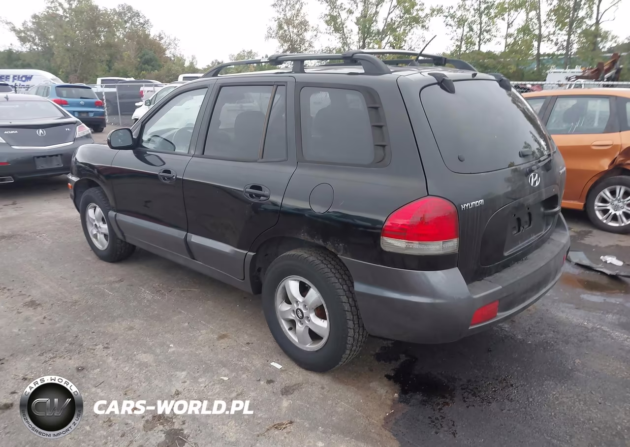 2006 Hyundai Santa Fe Gls VIN:KM8SC13D16U105373 - 3