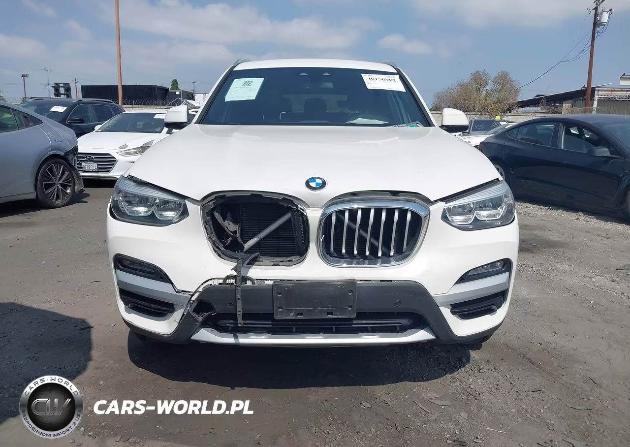 2019 BMW X3 Sdrive30I VIN:5UXTR7C52KLR51514 - 12