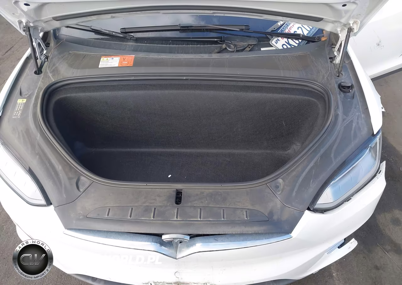 2018 Tesla Model X 100D-75D-P100D VIN:5YJXCAE24JF116326 - 10