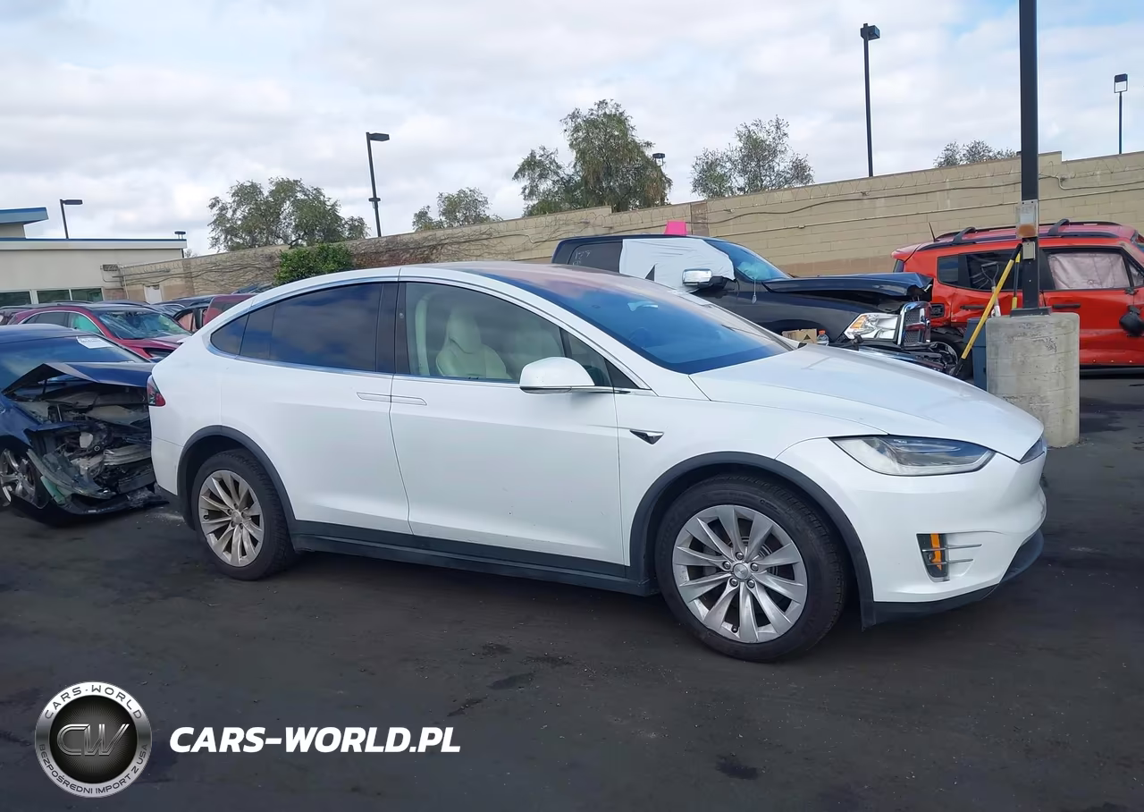 2018 Tesla Model X 100D-75D-P100D VIN:5YJXCAE24JF116326 - 12