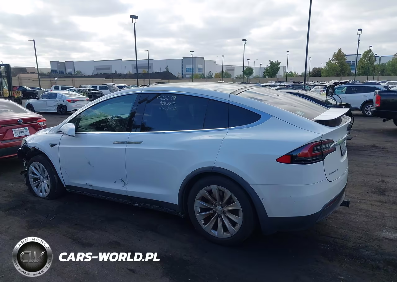 2018 Tesla Model X 100D-75D-P100D VIN:5YJXCAE24JF116326 - 13