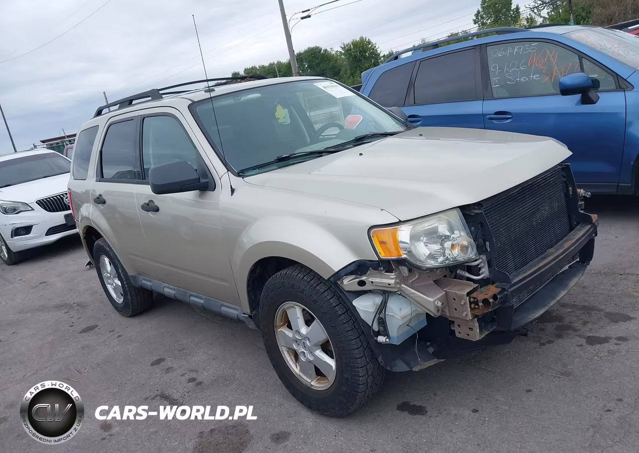 2010 Ford Escape Xlt