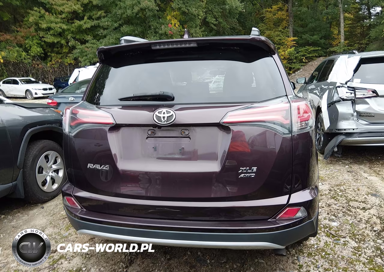 2016 Toyota Rav4 Xle VIN:2T3RFREV1GW513861 - 17