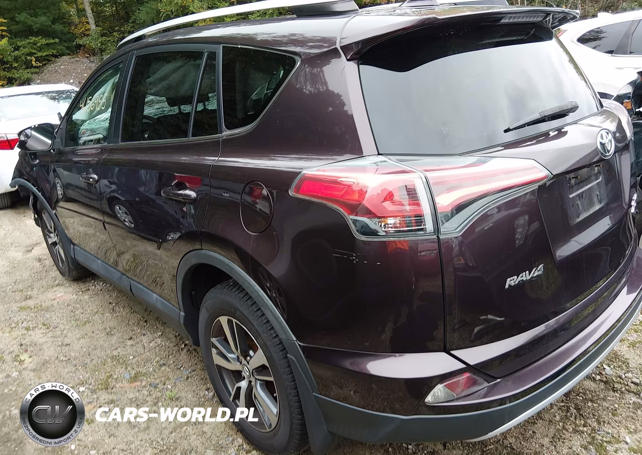 2016 Toyota Rav4 Xle VIN:2T3RFREV1GW513861 - 3
