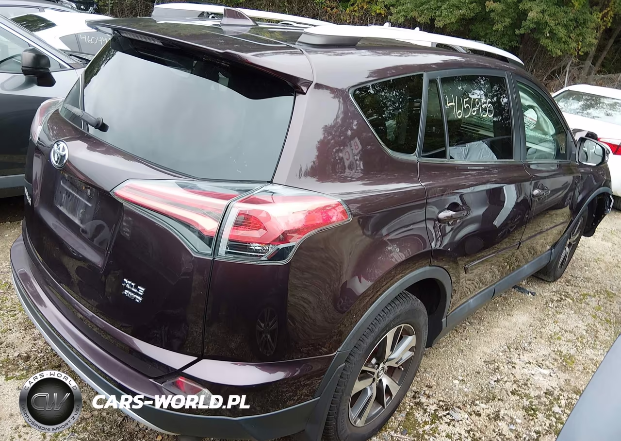 2016 Toyota Rav4 Xle VIN:2T3RFREV1GW513861 - 4