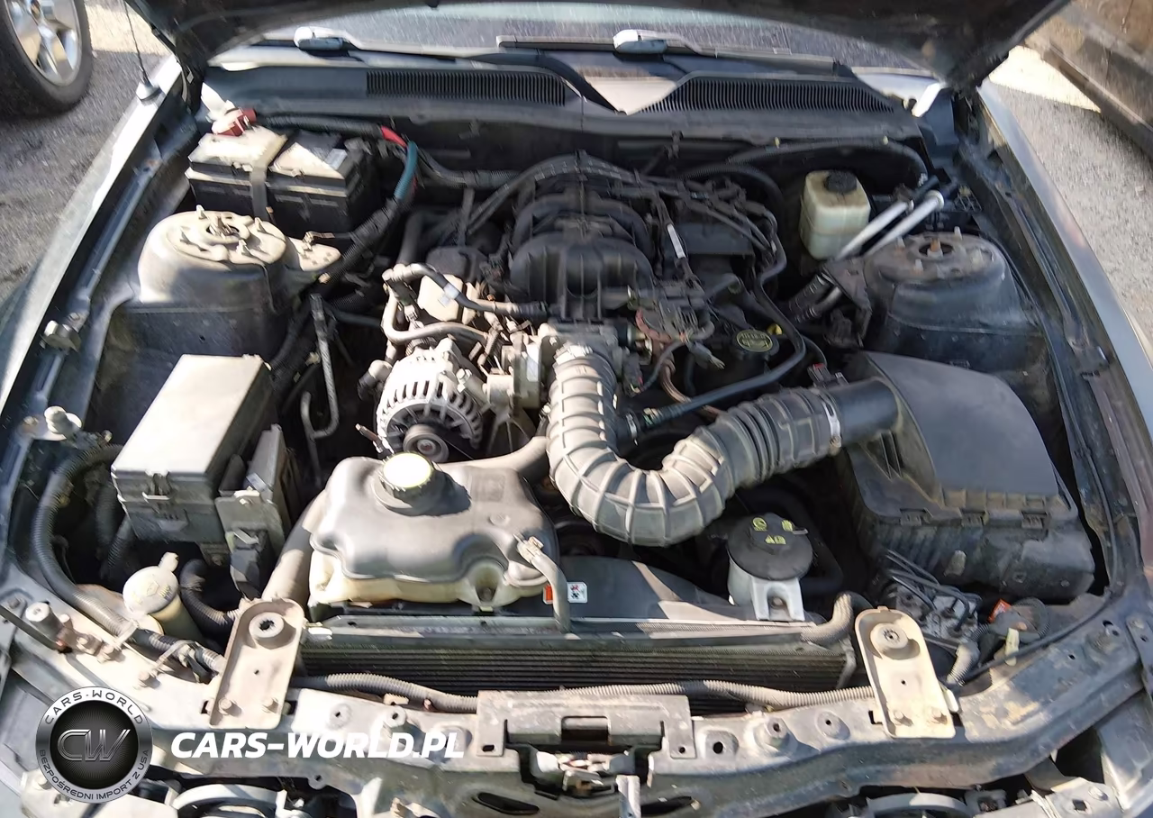 2006 Ford Mustang V6 VIN:1ZVFT84N665262653 - 10