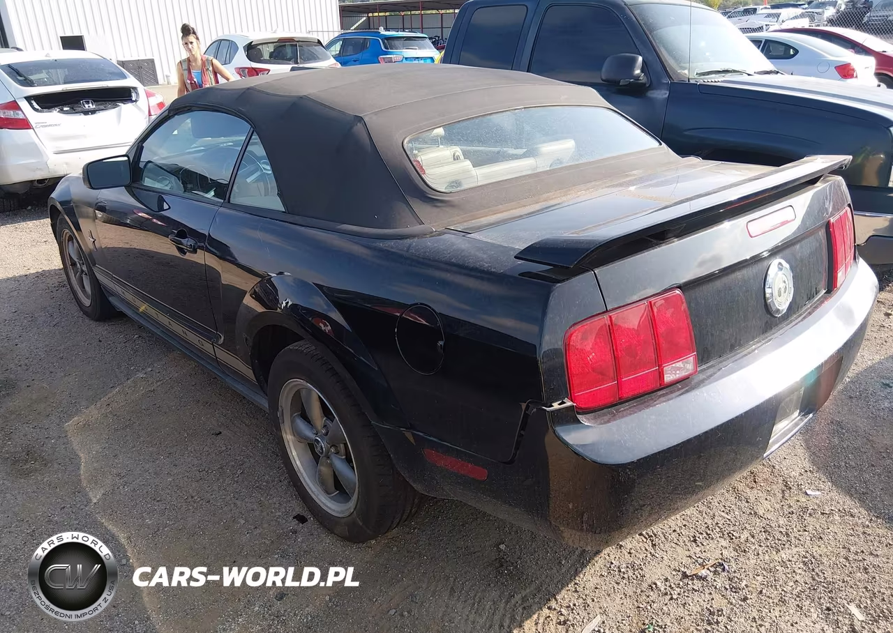 2006 Ford Mustang V6 VIN:1ZVFT84N665262653 - 3