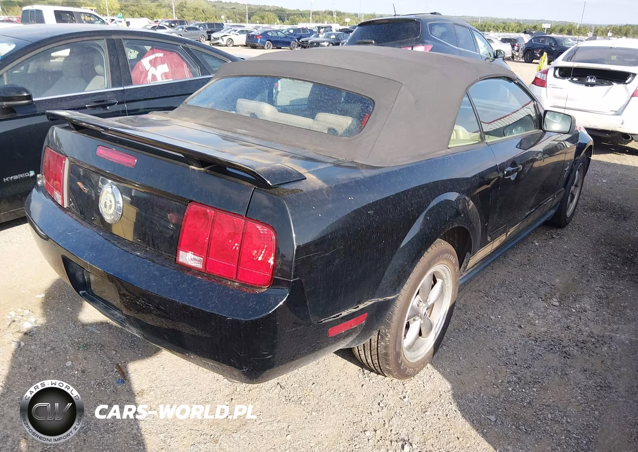 2006 Ford Mustang V6 VIN:1ZVFT84N665262653 - 4