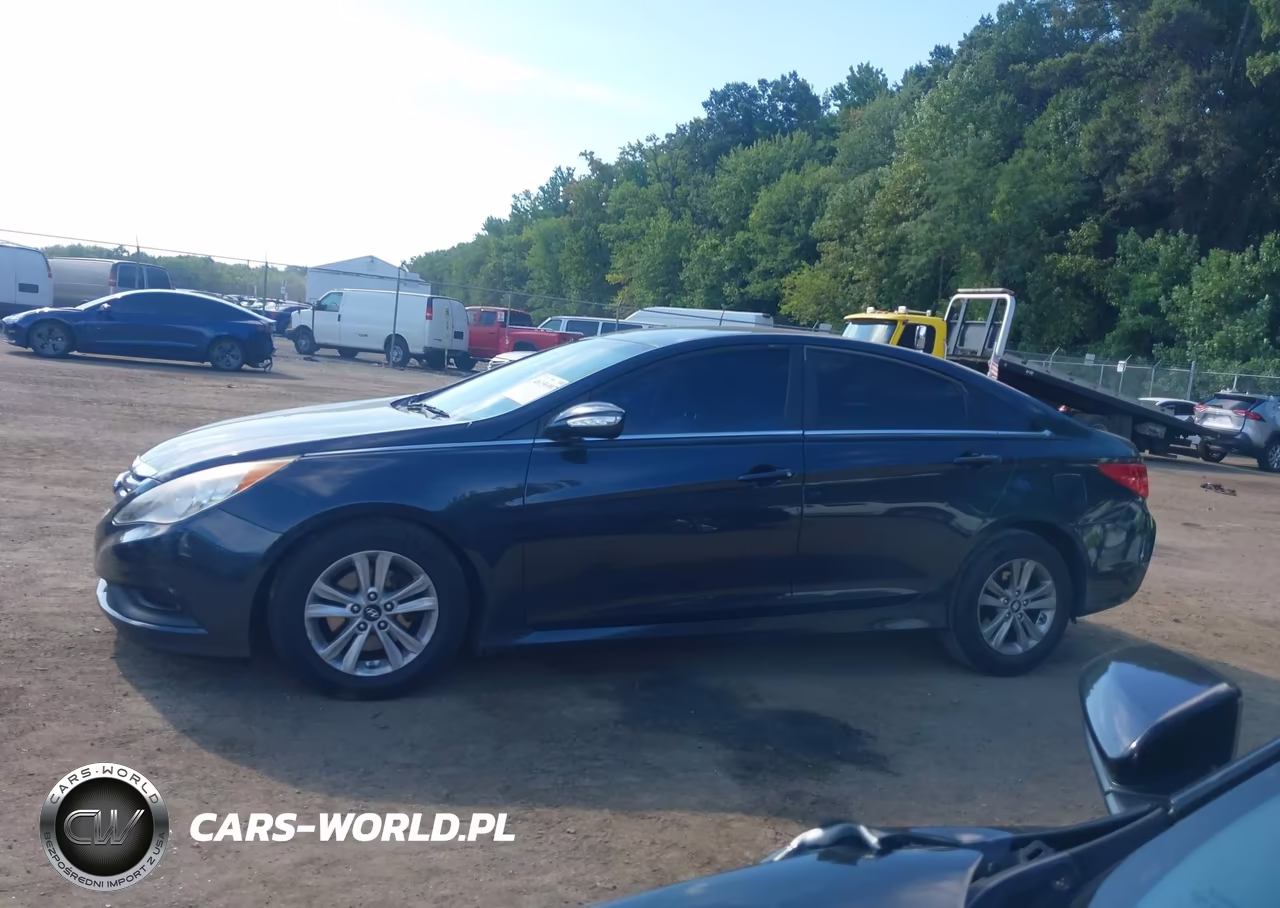2014 Hyundai Sonata Gls VIN:5NPEB4AC6EH945464 - 14