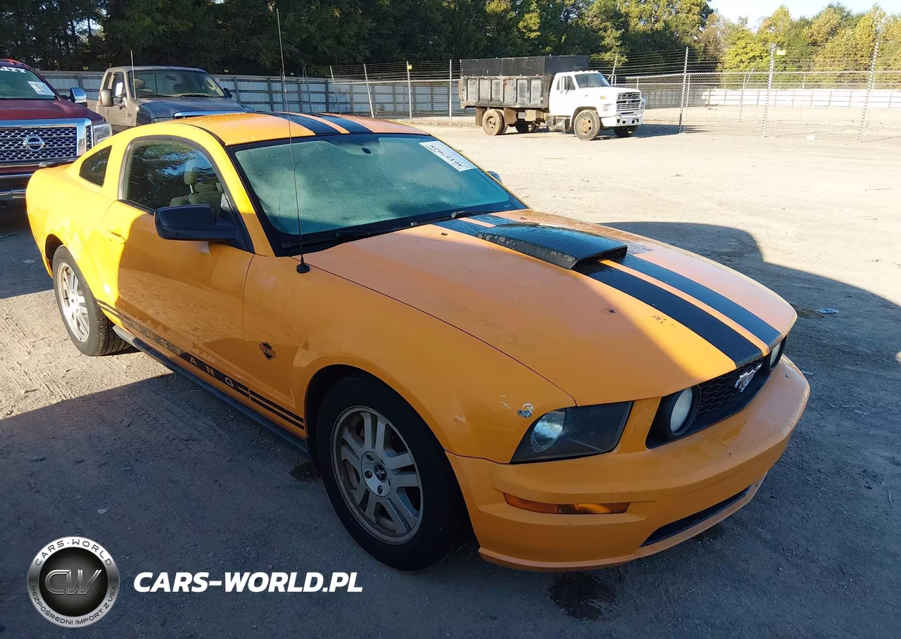2008 Ford Mustang V6 Deluxe-V6 Premium VIN:1ZVHT80N185185823 - 1