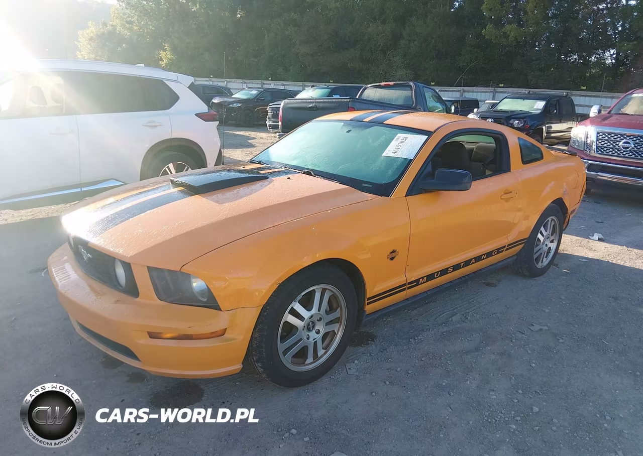 2008 Ford Mustang V6 Deluxe-V6 Premium VIN:1ZVHT80N185185823 - 2