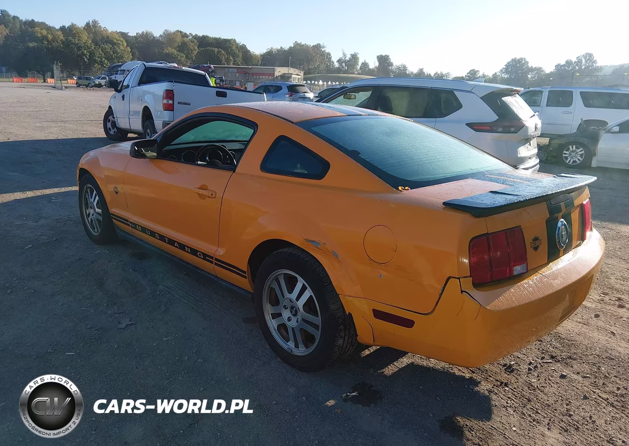 2008 Ford Mustang V6 Deluxe-V6 Premium VIN:1ZVHT80N185185823 - 3