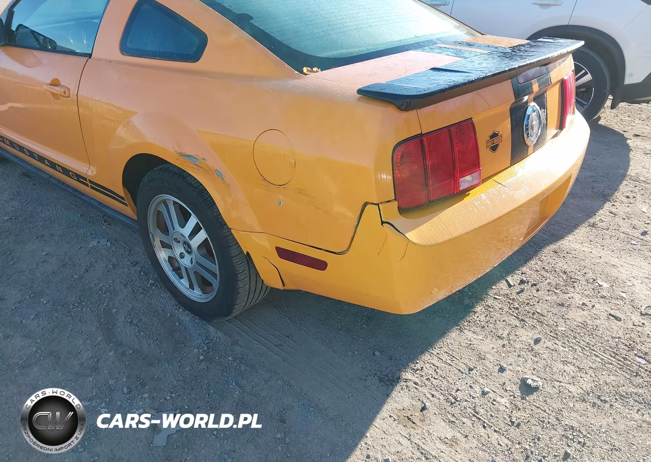 2008 Ford Mustang V6 Deluxe-V6 Premium VIN:1ZVHT80N185185823 - 6