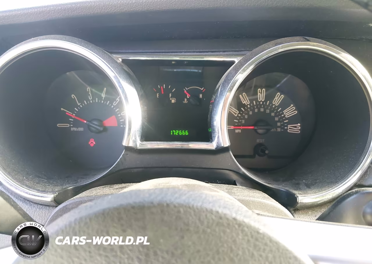 2008 Ford Mustang V6 Deluxe-V6 Premium VIN:1ZVHT80N185185823 - 7