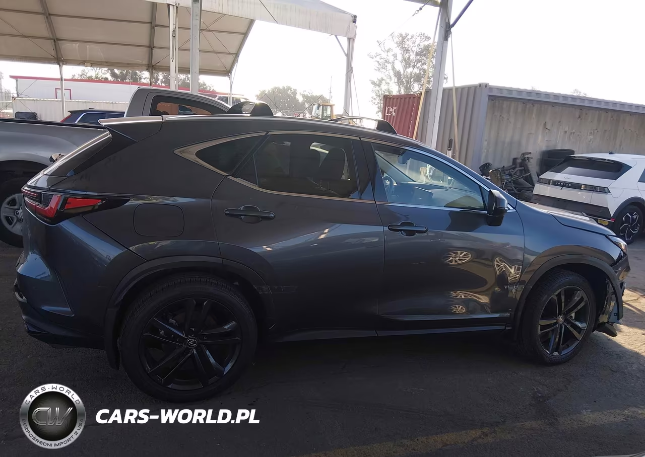 2024 Lexus Nx 450H+ Luxury VIN:JTJHKCFZ7R2024587 - 13