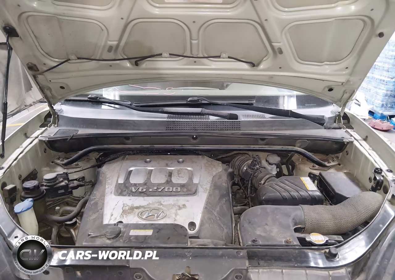 2006 Hyundai Tucson Gls-Limited VIN:KM8JN12D56U303803 - 10
