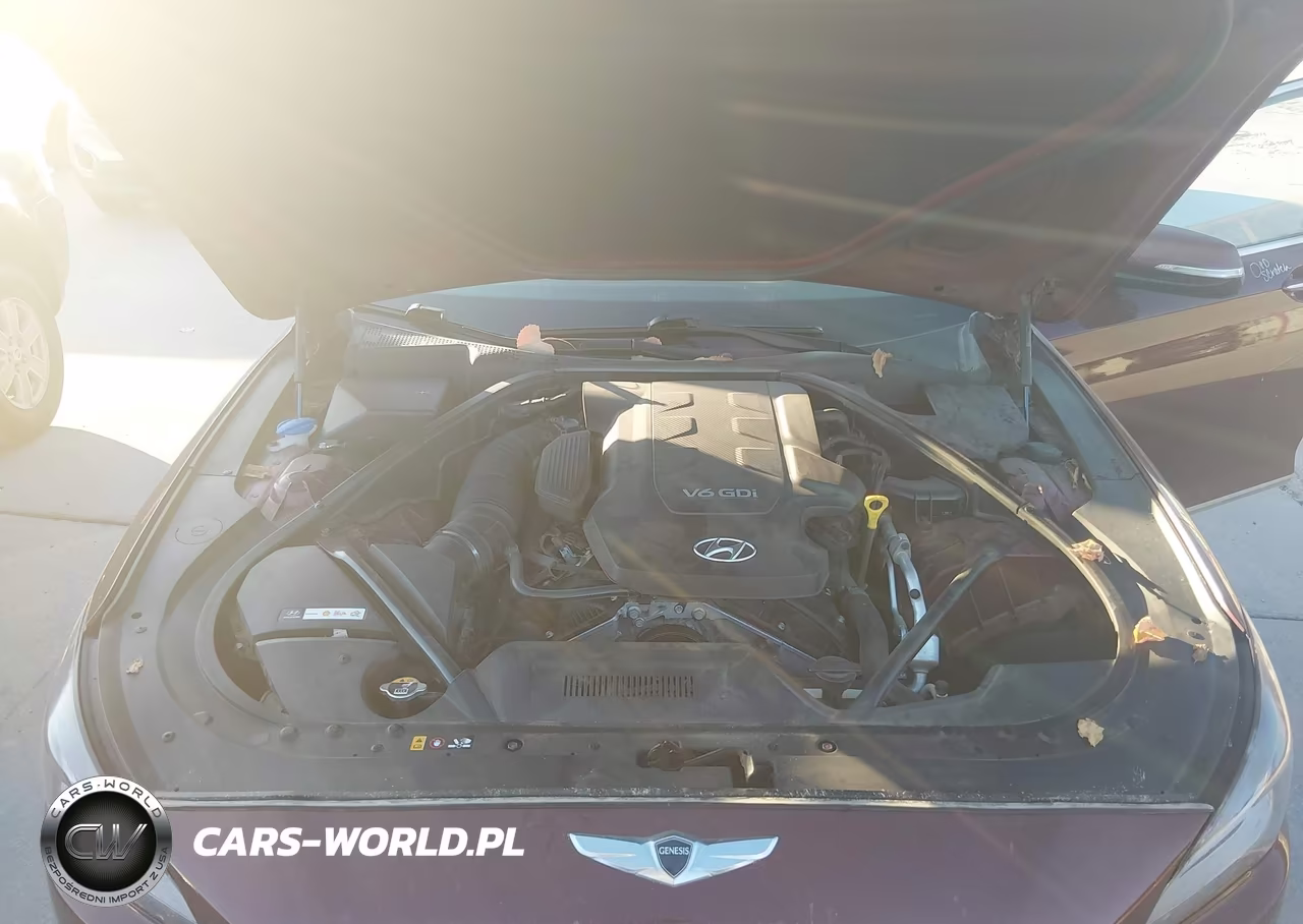 2016 Hyundai Genesis 3.8 VIN:KMHGN4JE2GU137604 - 10