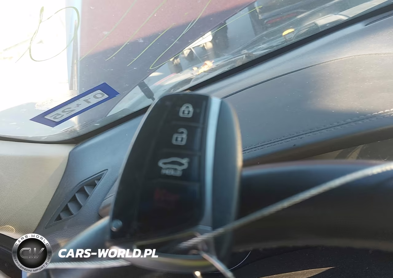 2016 Hyundai Genesis 3.8 VIN:KMHGN4JE2GU137604 - 11