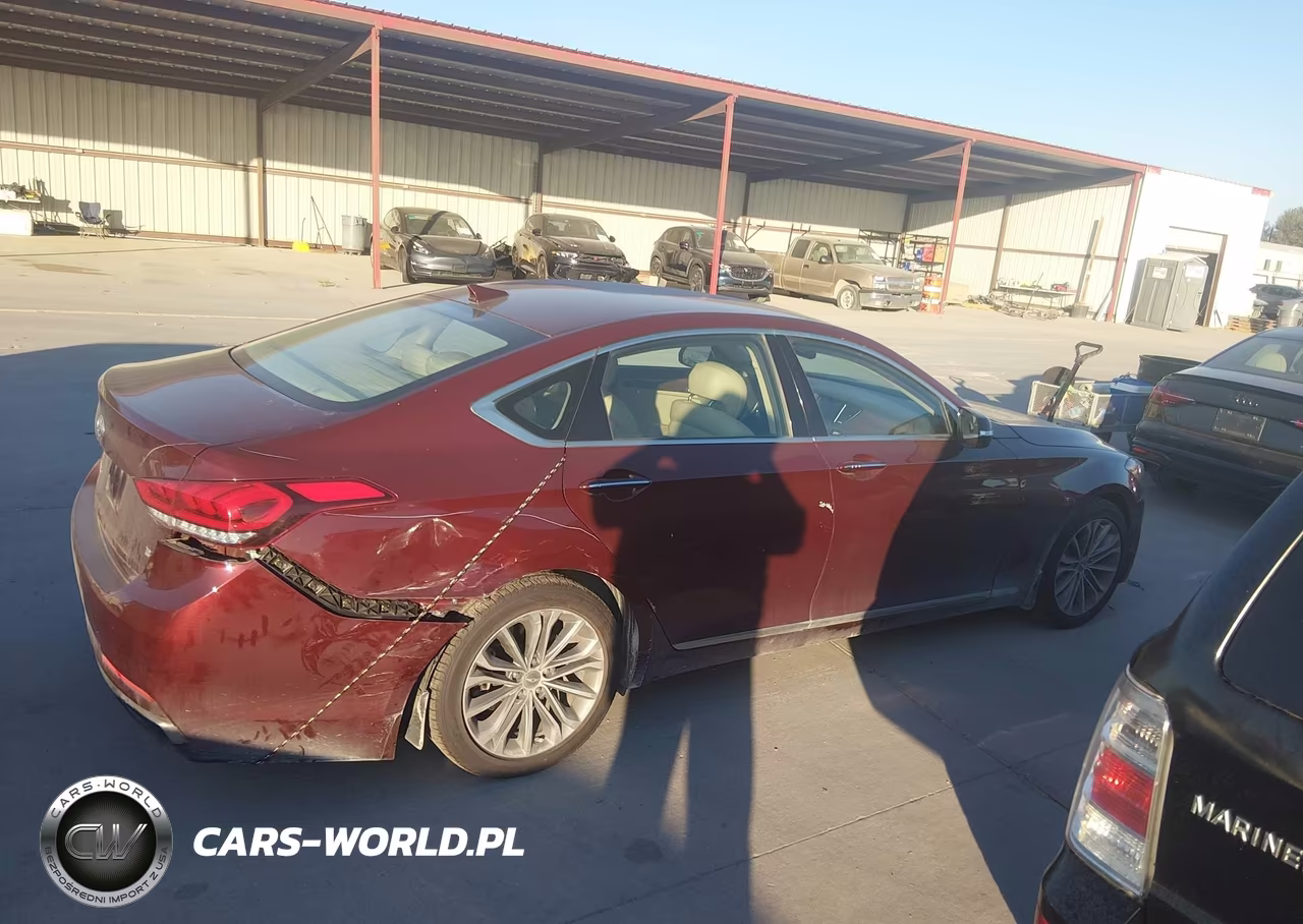 2016 Hyundai Genesis 3.8 VIN:KMHGN4JE2GU137604 - 13