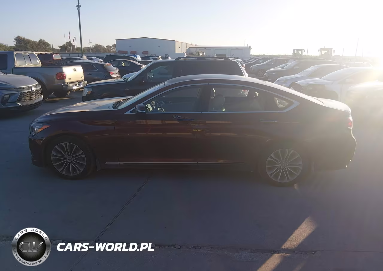 2016 Hyundai Genesis 3.8 VIN:KMHGN4JE2GU137604 - 14