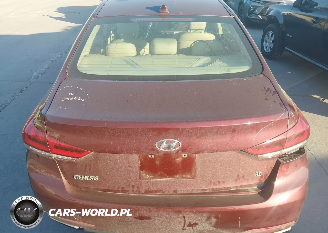 2016 Hyundai Genesis 3.8 VIN:KMHGN4JE2GU137604 - 16