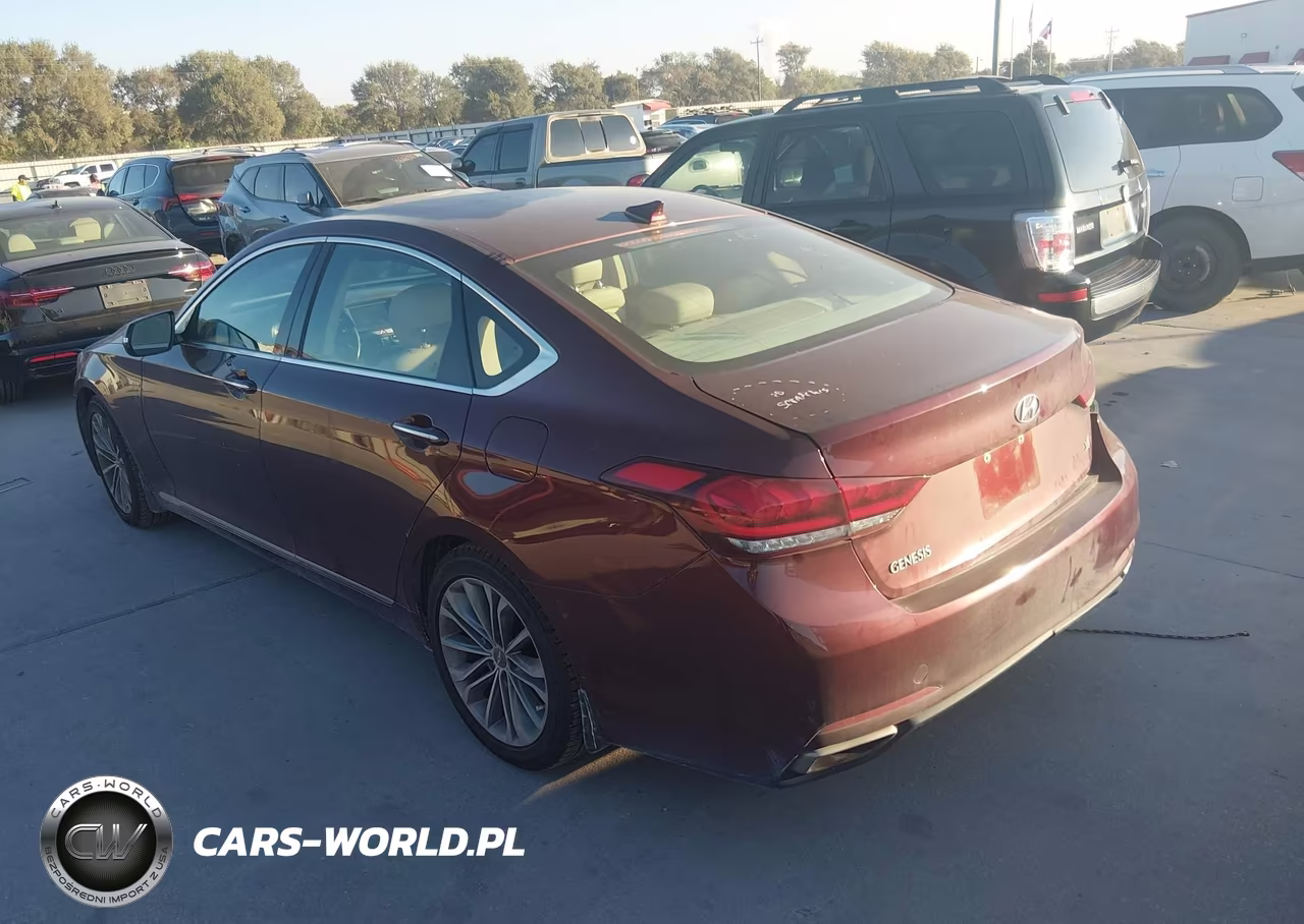 2016 Hyundai Genesis 3.8 VIN:KMHGN4JE2GU137604 - 3