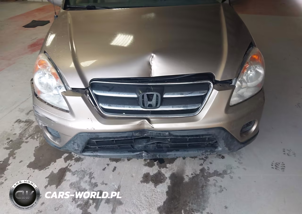 2006 Honda Cr-V Se VIN:SHSRD78946U404932 - 6