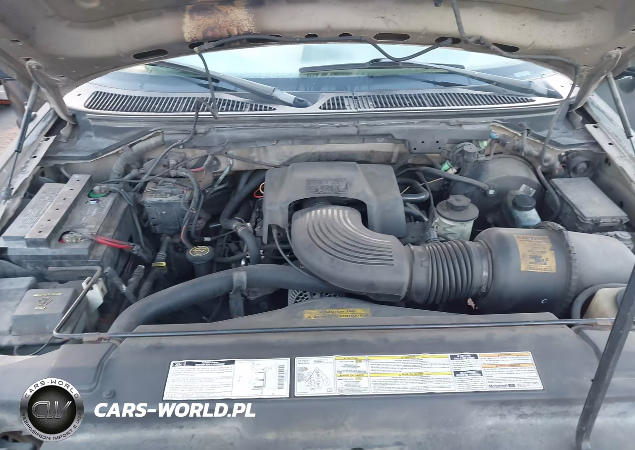 2000 Ford F-150 Lariat-Work Series-Xl-Xlt VIN:1FTRX17L3YNA33811 - 10