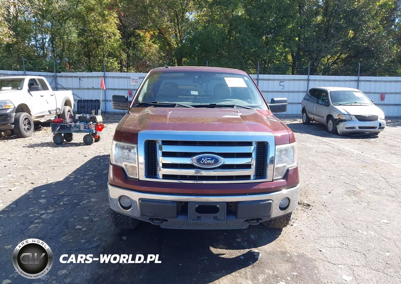 2010 Ford F-150 Fx4-Lariat-Xl-Xlt VIN:1FTFX1EV5AFC39137 - 12
