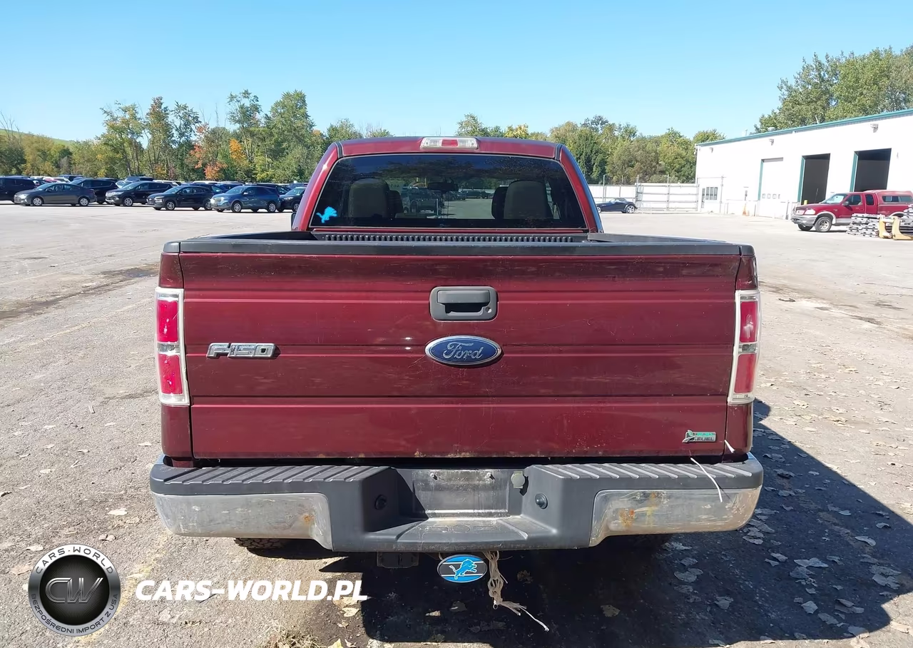 2010 Ford F-150 Fx4-Lariat-Xl-Xlt VIN:1FTFX1EV5AFC39137 - 16
