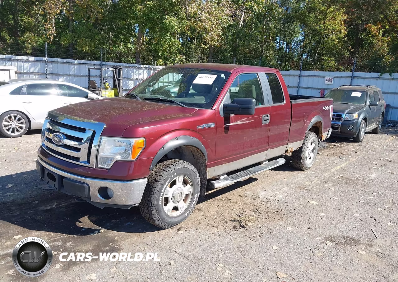 2010 Ford F-150 Fx4-Lariat-Xl-Xlt VIN:1FTFX1EV5AFC39137 - 2