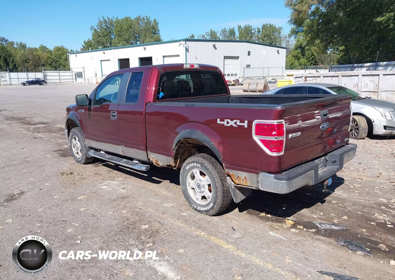 2010 Ford F-150 Fx4-Lariat-Xl-Xlt VIN:1FTFX1EV5AFC39137 - 3