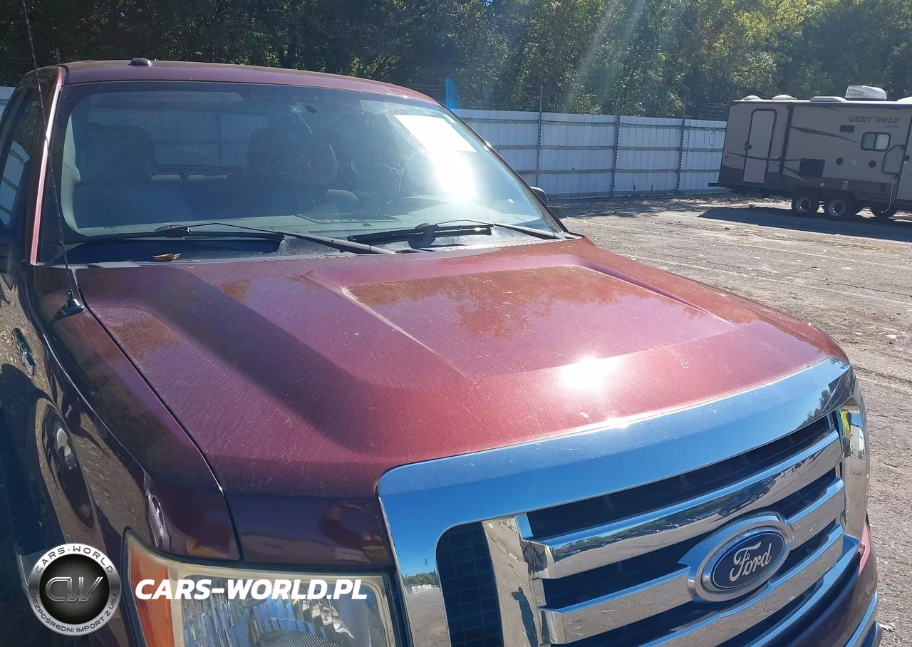 2010 Ford F-150 Fx4-Lariat-Xl-Xlt VIN:1FTFX1EV5AFC39137 - 6