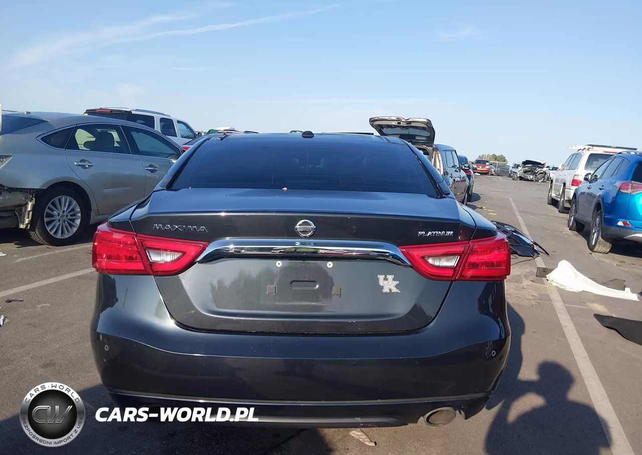 2016 Nissan Maxima 3.5 Platinum VIN:1N4AA6AP8GC402590 - 17