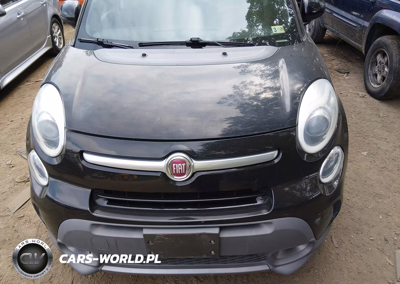 2014 Fiat 500L Trekking VIN:ZFBCFADH1EZ012214 - 6