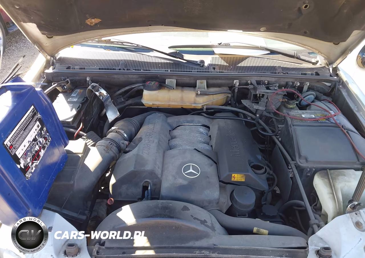 1999 Mercedes-Benz Ml 320 VIN:4JGAB54E2XA124899 - 10
