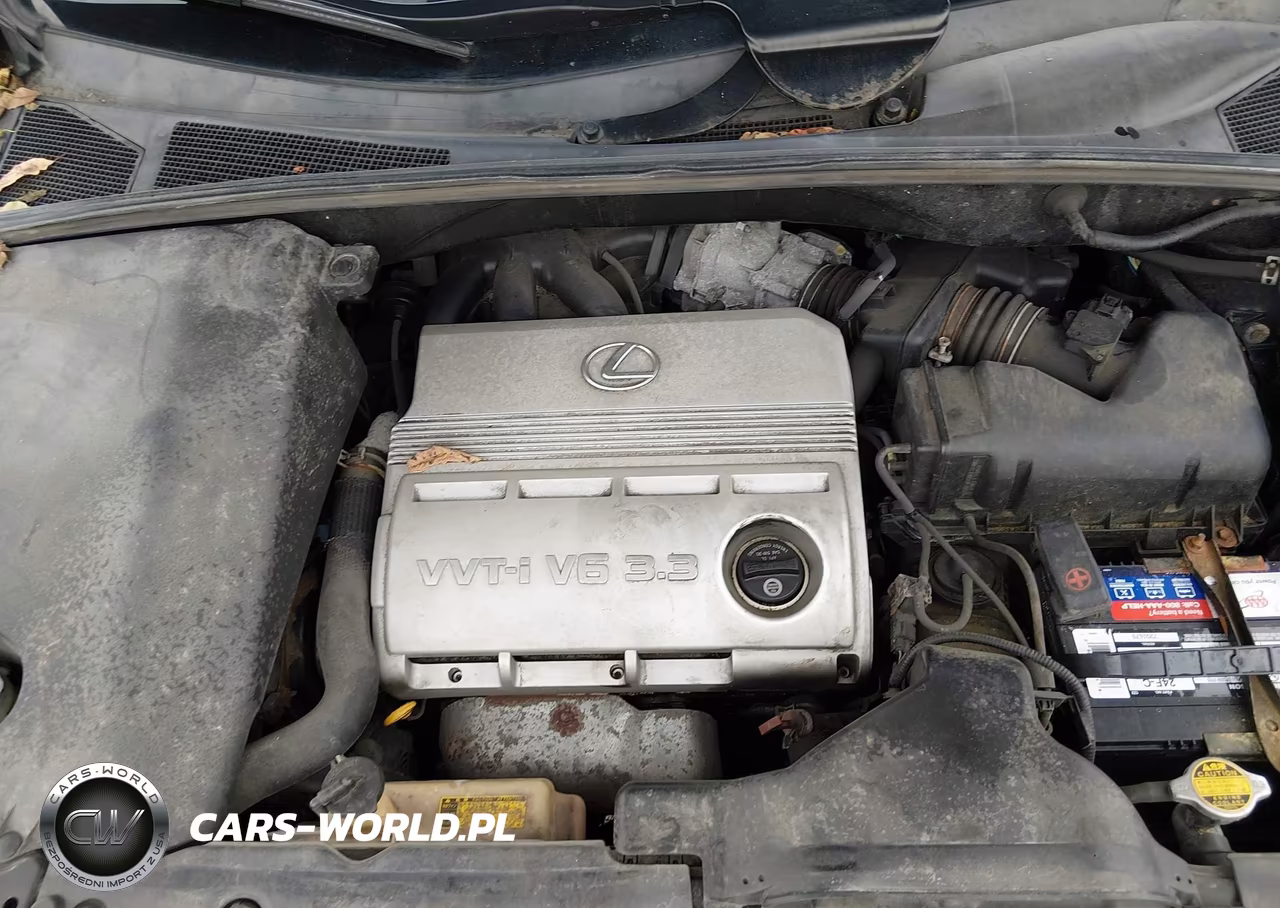 2004 Lexus Rx 330 VIN:JTJHA31U440041883 - 10