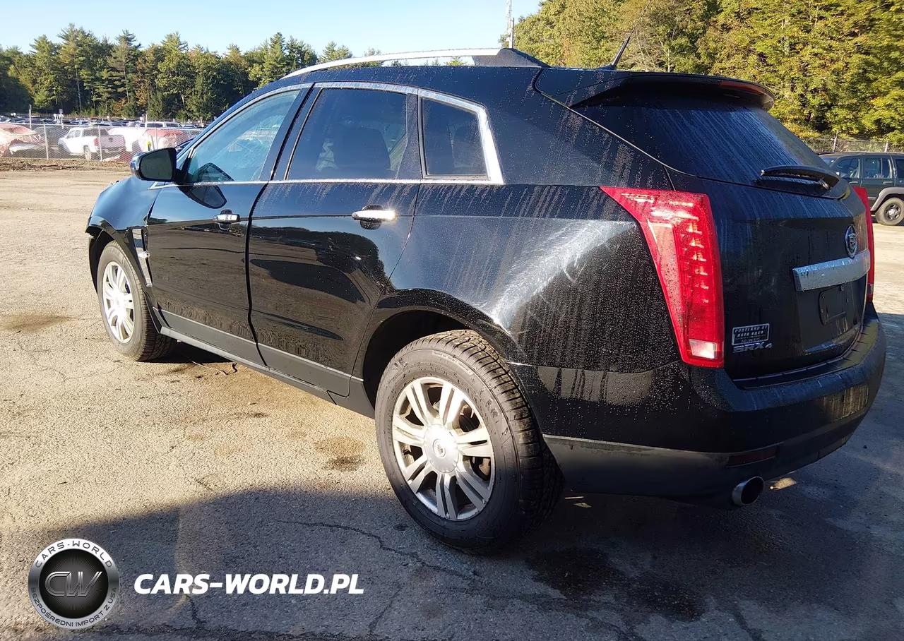 2011 Cadillac Srx Luxury Collection VIN:3GYFNDEY5BS637876 - 3