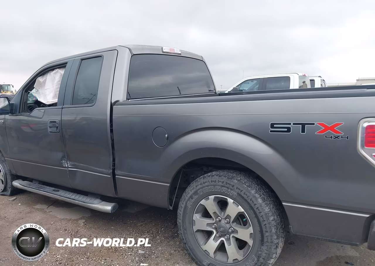 2013 Ford F-150 Stx VIN:1FTFX1EF2DFB90332 - 14