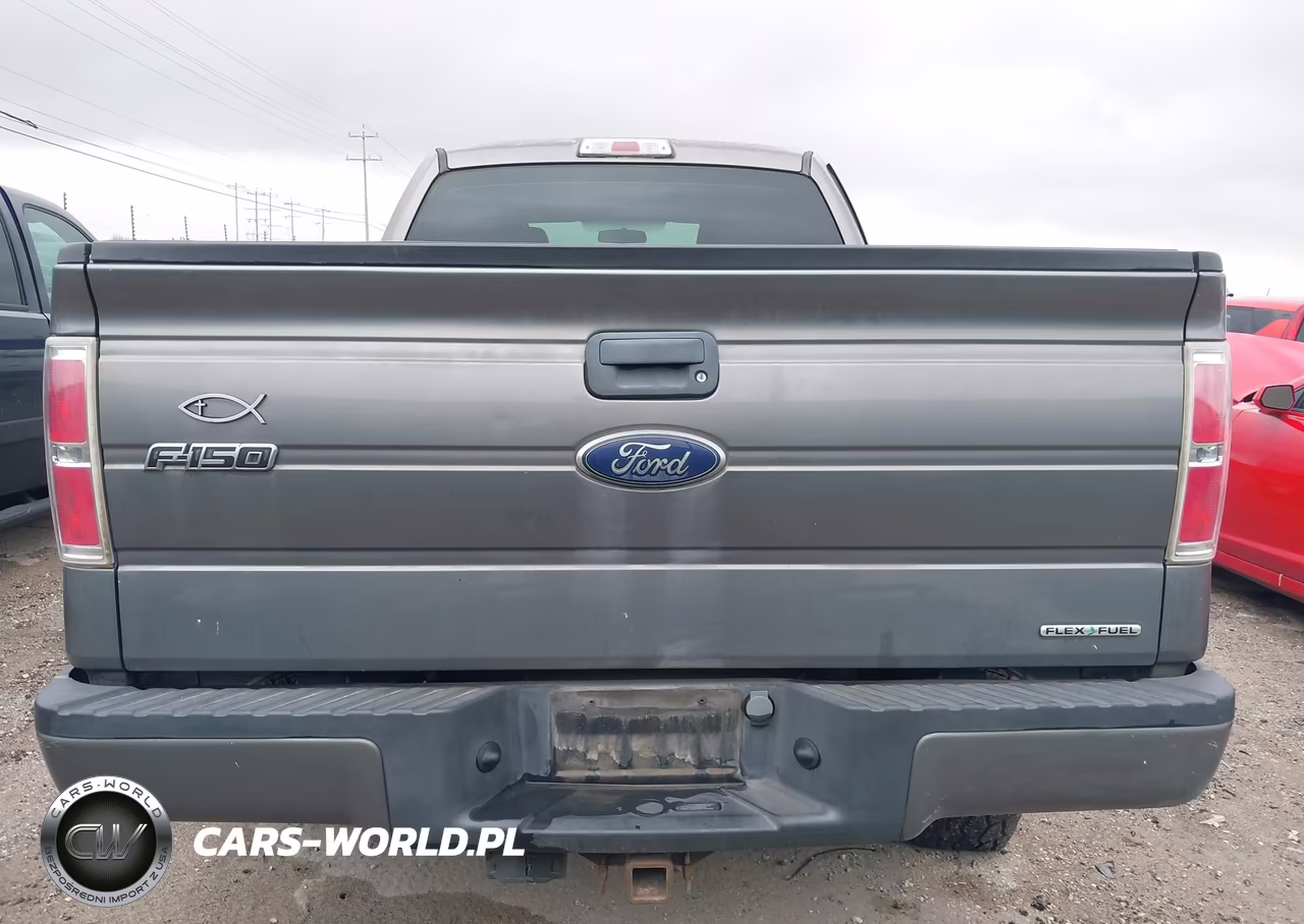 2013 Ford F-150 Stx VIN:1FTFX1EF2DFB90332 - 16