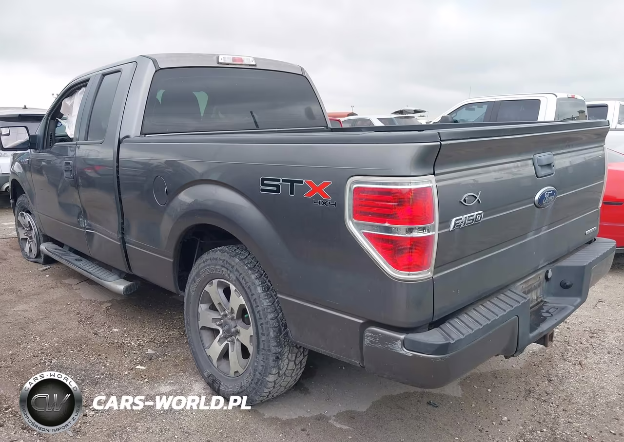 2013 Ford F-150 Stx VIN:1FTFX1EF2DFB90332 - 3