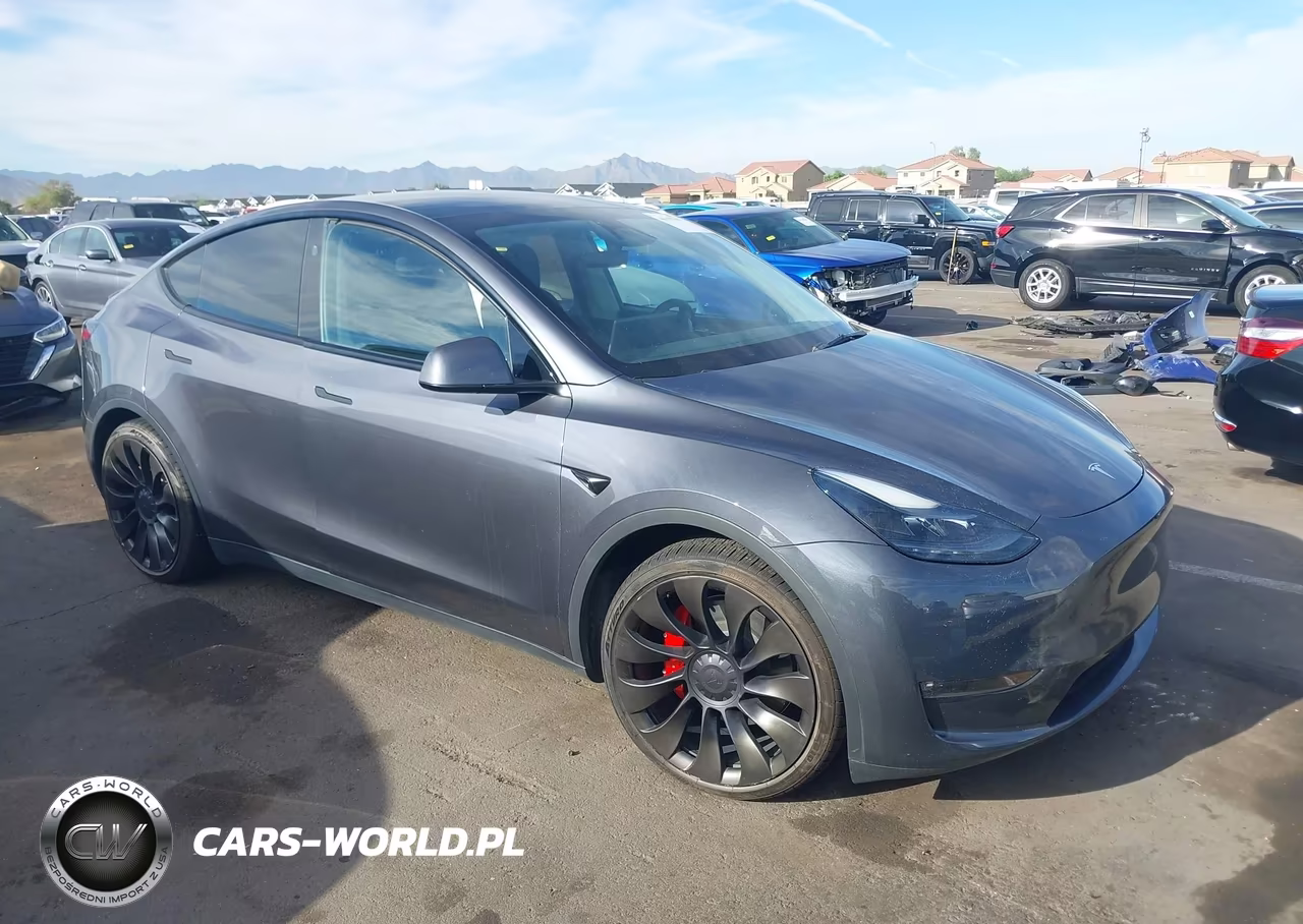 2023 Tesla Model Y Performance Dual Motor All-Wheel Drive