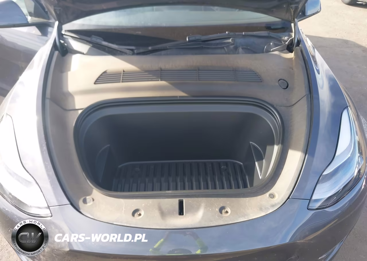 2023 Tesla Model Y Performance Dual Motor All-Wheel Drive VIN:7SAYGDEF0PF864838 - 10