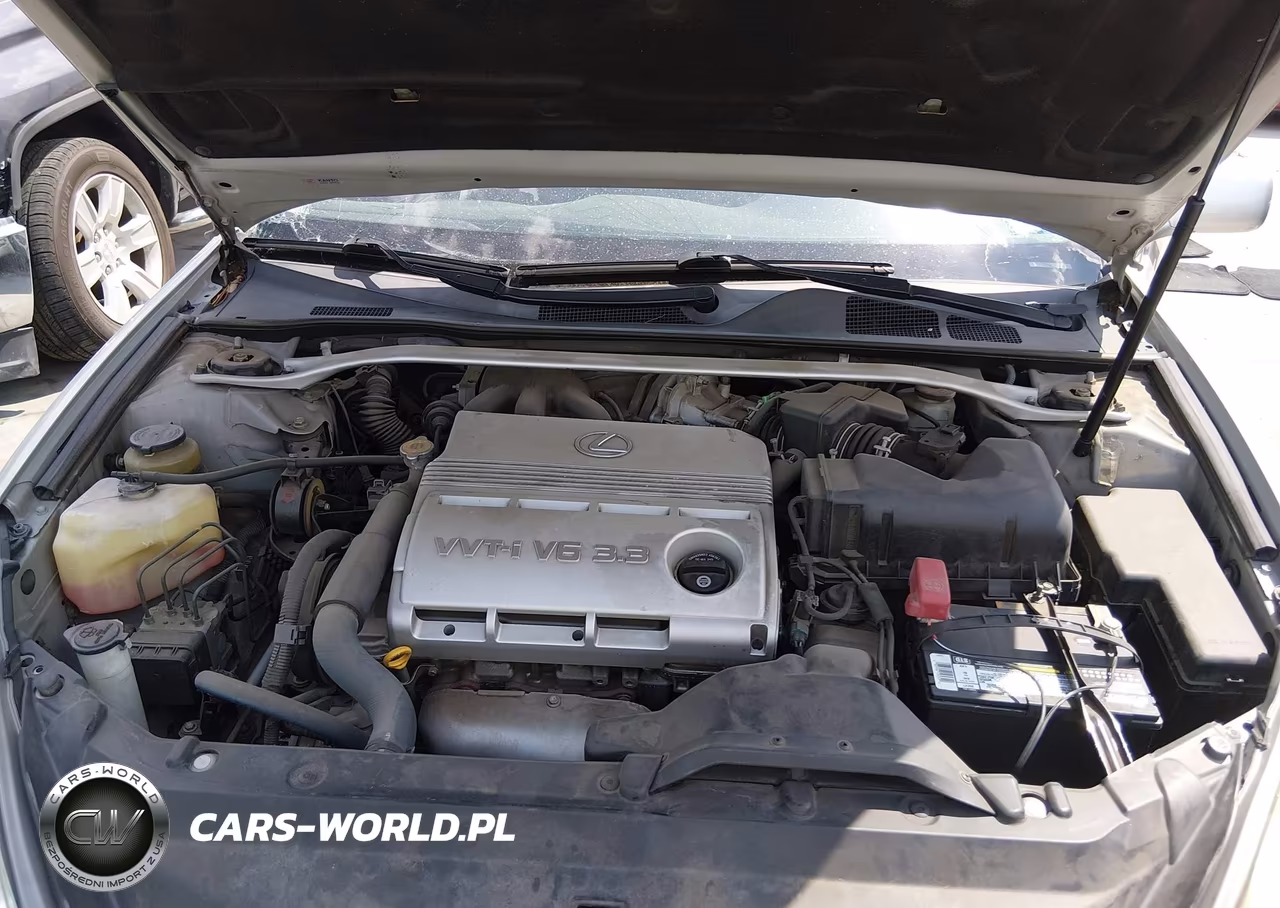 2004 Lexus Es 330 VIN:JTHBA30G745046453 - 10